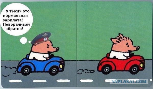 В РАН заявили о выросшей вдвое эмиграции высококвалифицированных специалистов