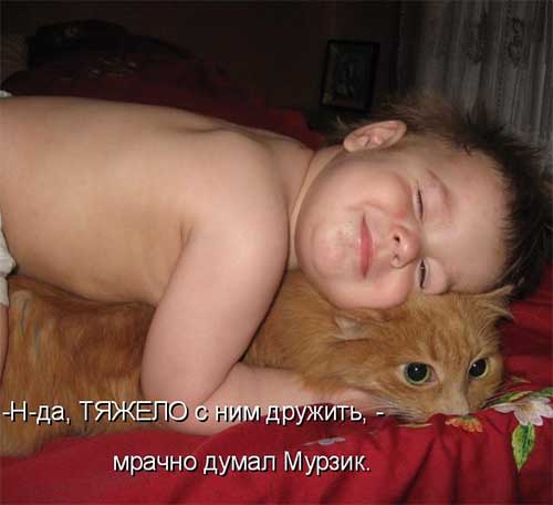 Весёлые картинки