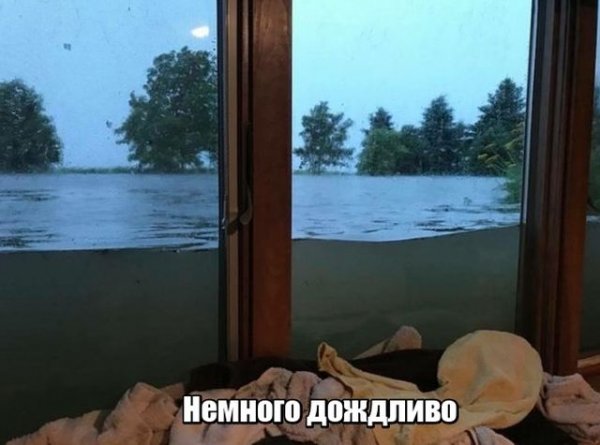 Нестандартный юмор