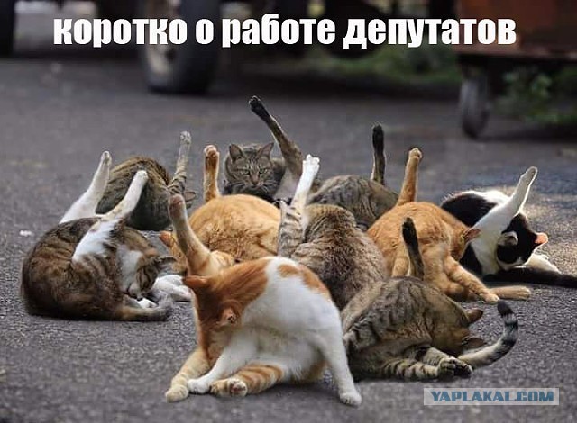 Немного картинок на вечер этой субботы