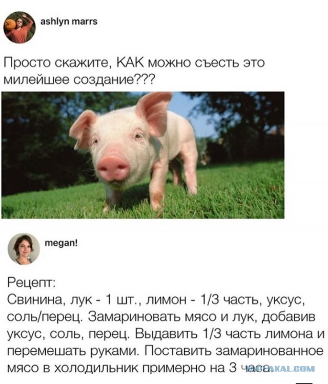 Я знаю, что вы делаете! Картинки смотрите!