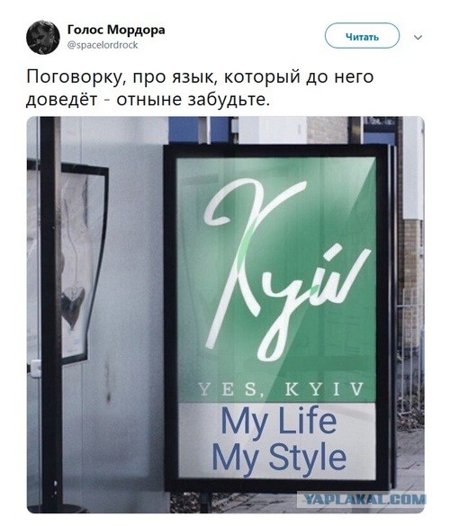Смотришь и глаз радуется
