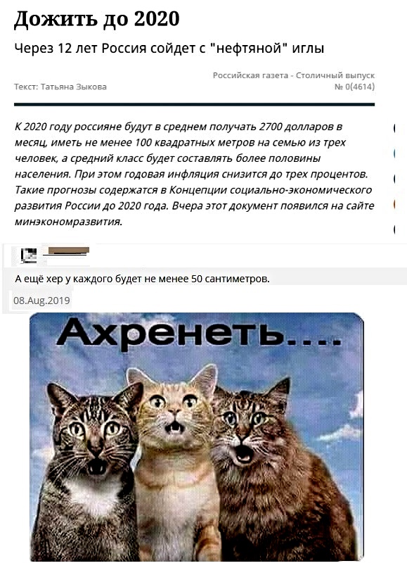 Картинки с надписями, истории и анекдоты