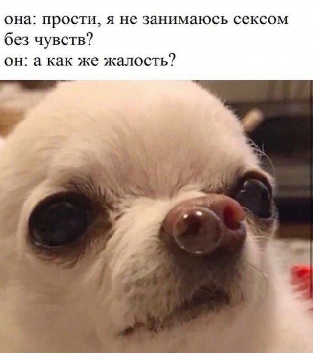 Когда-то повеселило