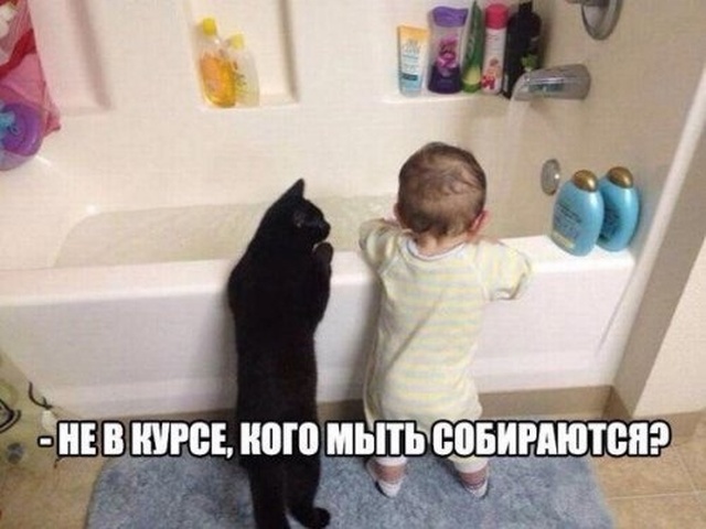 «Картинки разные нужны, картинки разные важны»