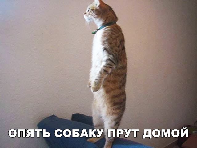 Бредзона 10.01.2020