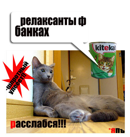 Просто вторник!