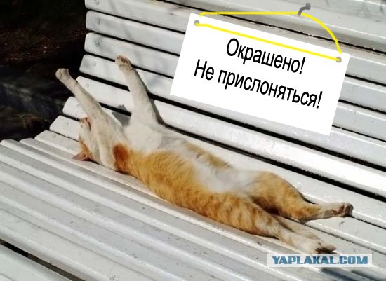 Я знал прикуп! Я в Сочи!