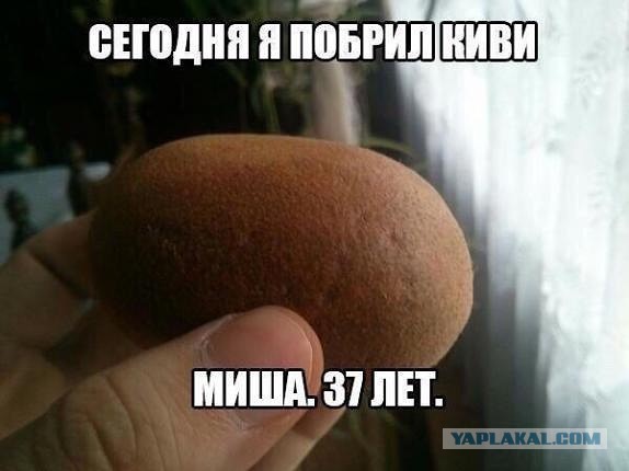 Фотки и картинки: юморные и красивые, забавные и милые 19.09.20