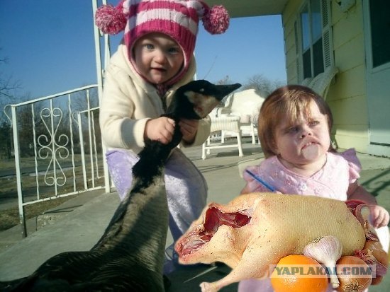 Фотожаба: Молодая добытчица