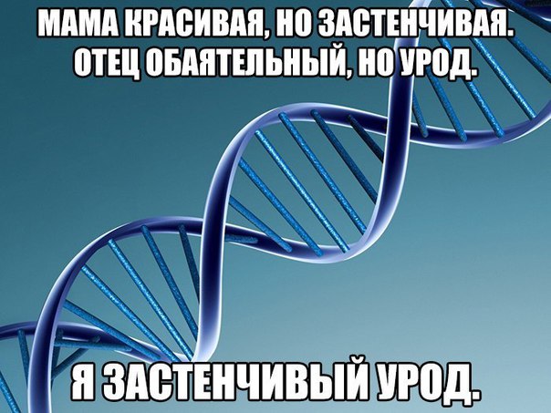 Баянисто-небаянистый юмор. 30.11.20