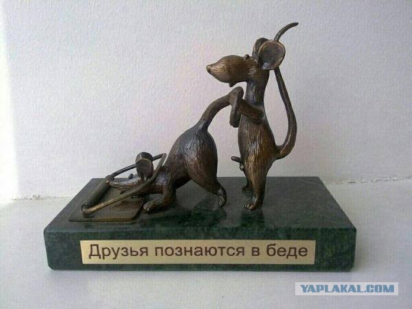 Юмор и прикольные картинки