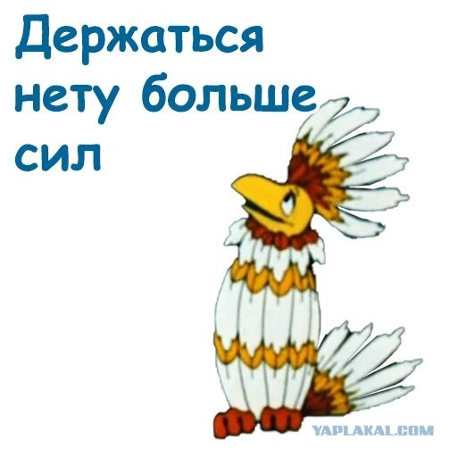 Какие носки вы носите, такой у вас и характер