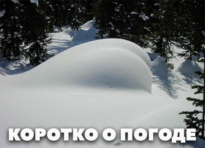 https://s00.yaplakal.com/pics/pics_original/5/6/2/15290265.jpg