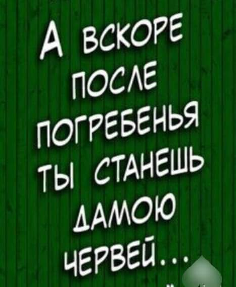 Кретинизмы из сети 03.09.2021
