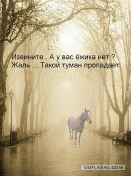Туман в Москве