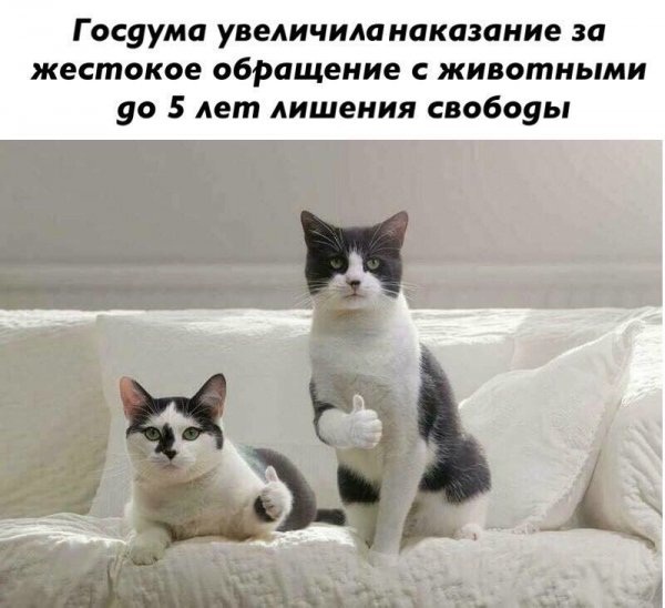 Разные картинки для настроения на любой вкус - 6