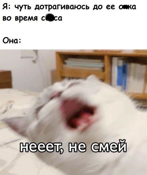 Так себе картинки 03.02.22