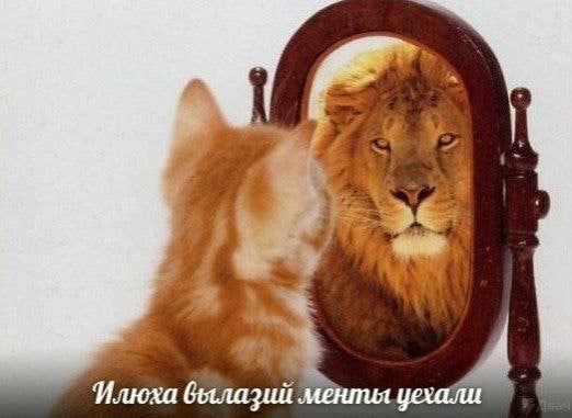 Разные картинки