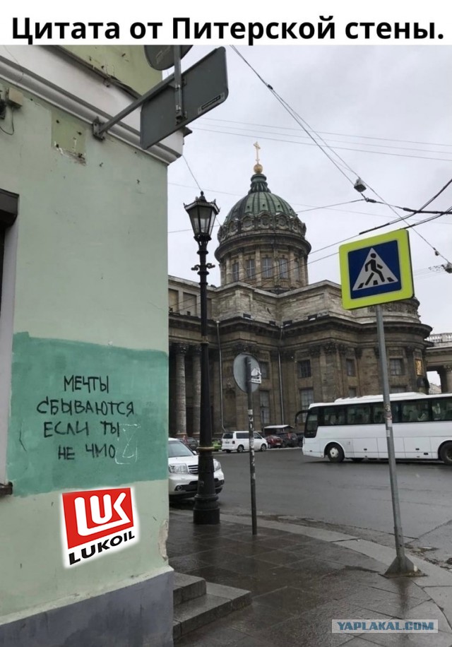 Так себе картинки 17.04.22