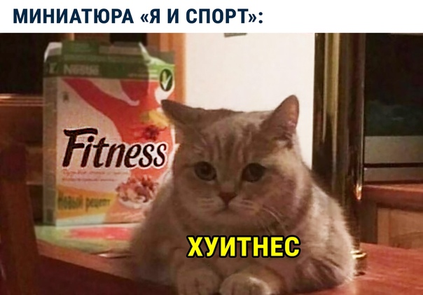 Картинки и мемы для настроения - 29