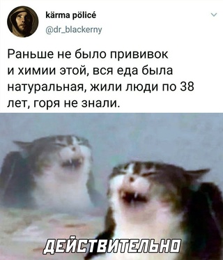 Картинки и мемы для настроения - 17