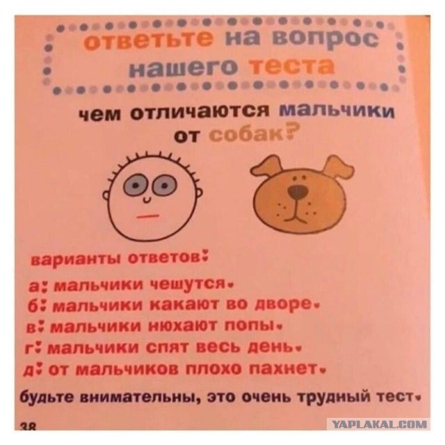 Собака - жэкэхака