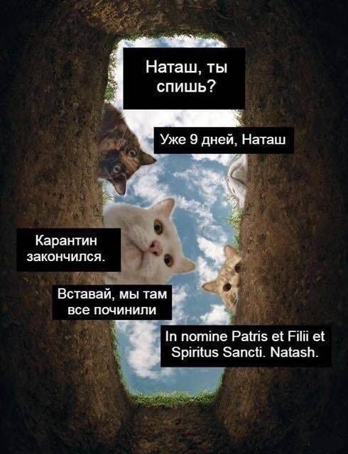 Пришло второе сообщение на пейджер