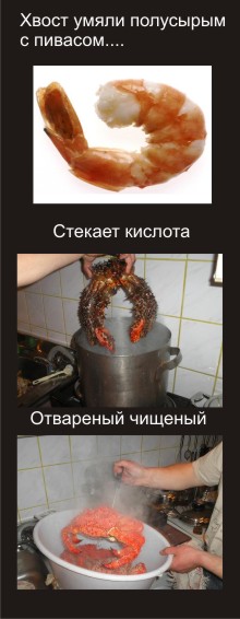 Челябинцам на заметку