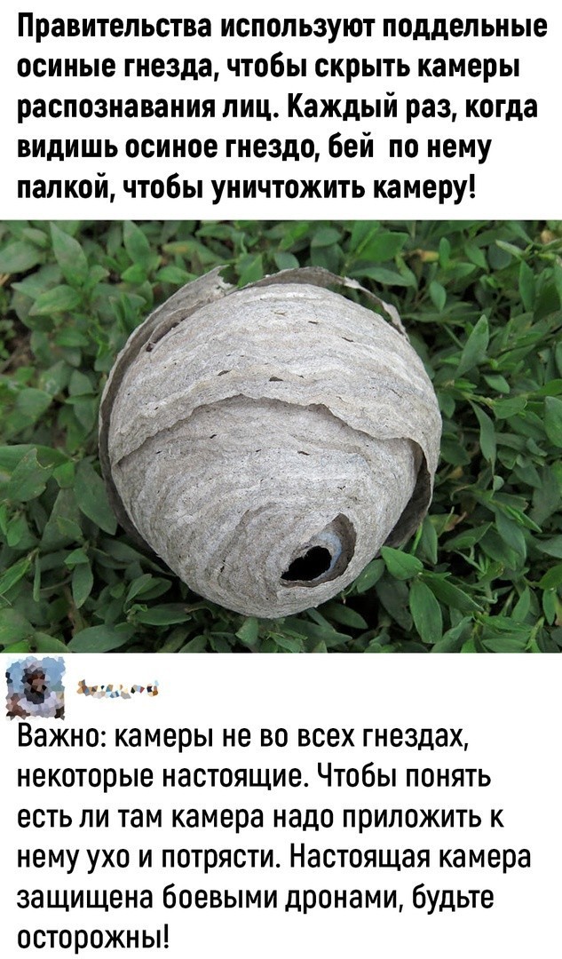 Монтажная пена против ос