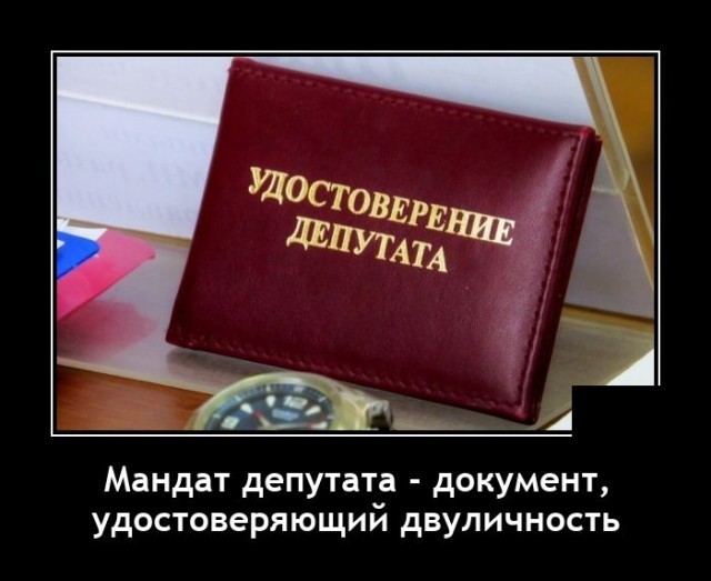 Весёлый полтишок 08.05.23