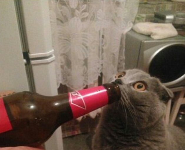 А не мудак ли я?