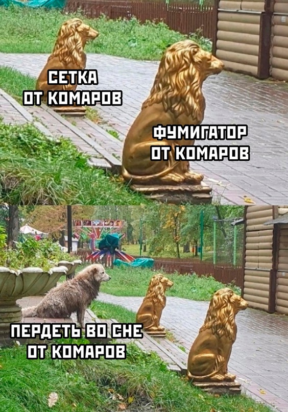 Весёлый полтишок 11.08.23