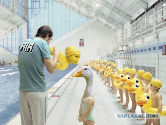 Уточки