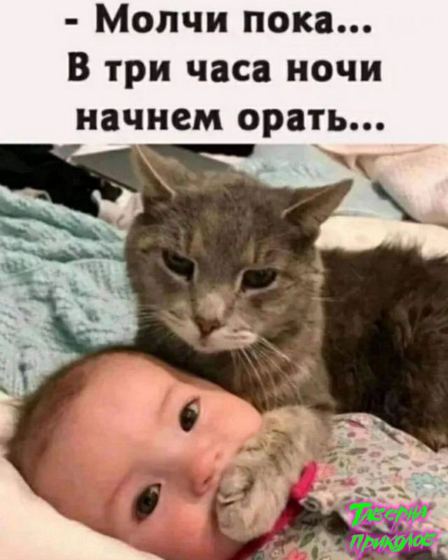 Завалялось тут случайно немного забавных картинок