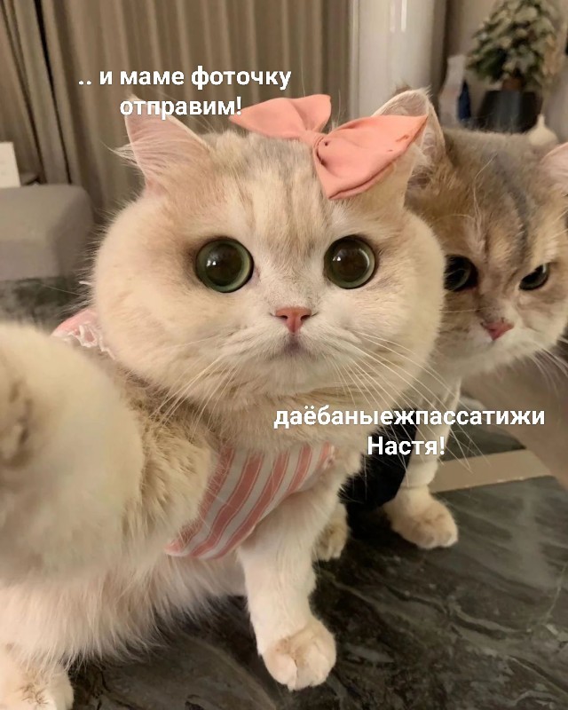 ФотоВинегрет
