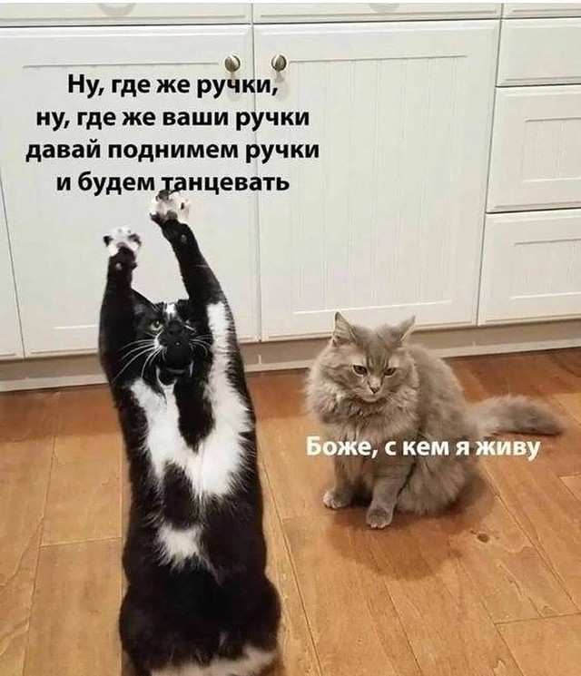 Завалялось тут случайно немного забавных картинок