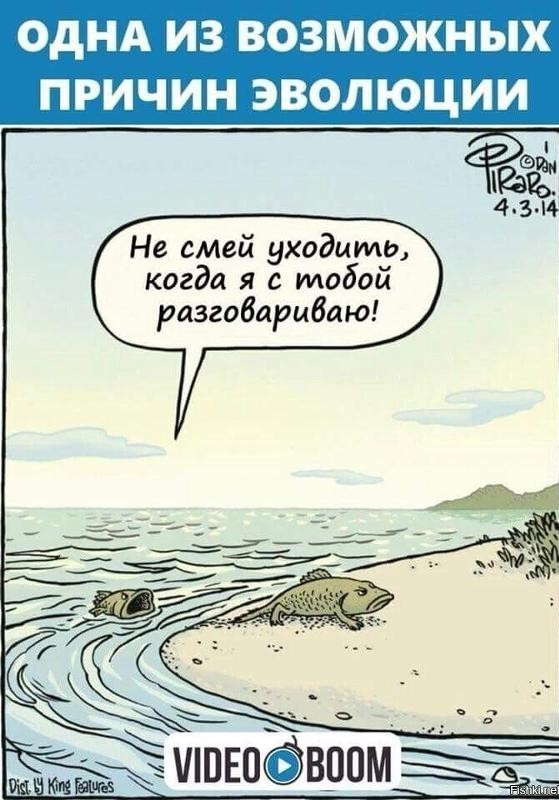 Рыба, похожая на крокодила, смогла пережить даже динозавров