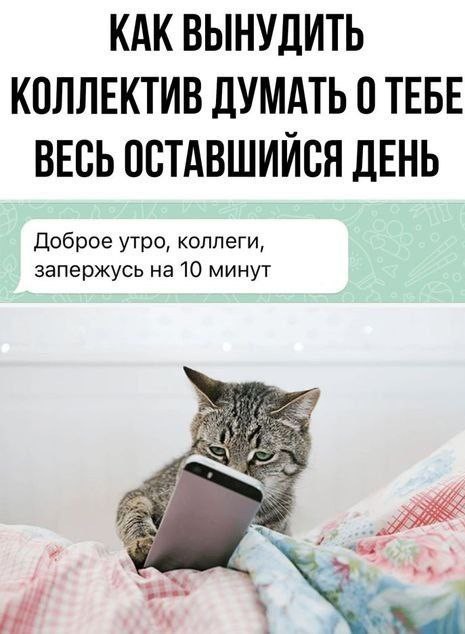 Картинков вам разных.
