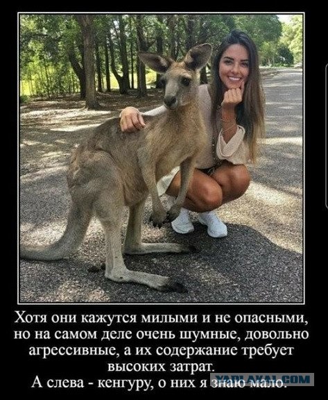 Картинки не для всех