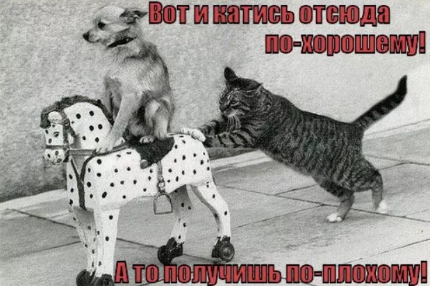 Э, так нечестно! Поччиму адин не пришёль?