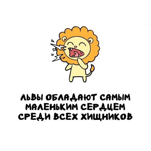 Подборка интересных фактов на все случаи жизни 26.11.25