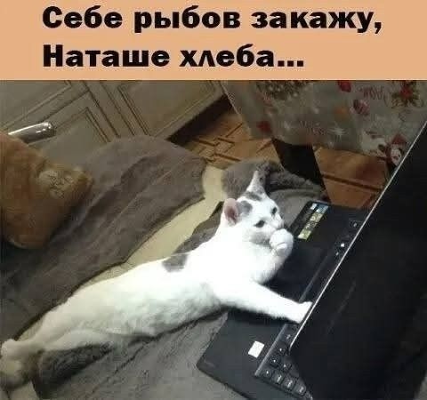 Прикольные и просто красивые картинки 09.12.2025