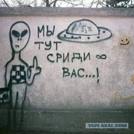 Картиночки, баянчики 24 января
