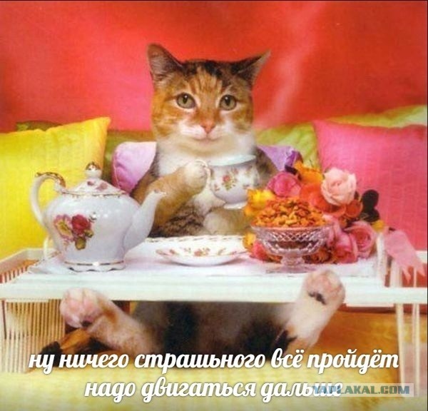 Всё таки оранжевые немного с прибабахом