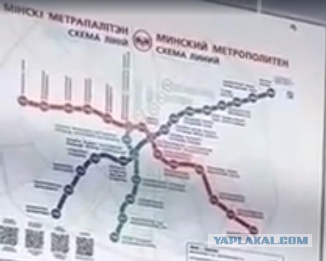 В поиске жены