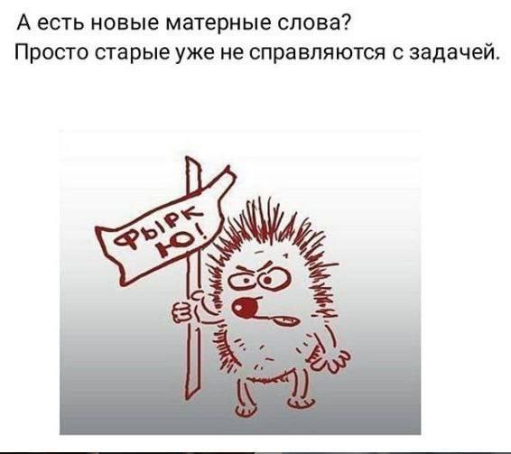 Когда сразу пять звёзд.