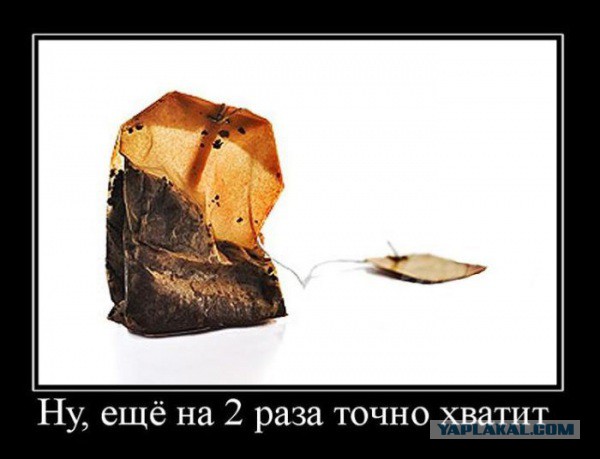 Заварные чайные пакетики под микроскопом