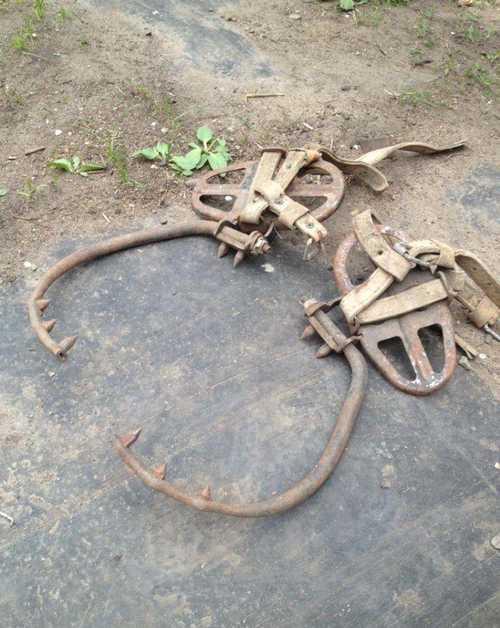 Скутер для подъема по стволу дерева