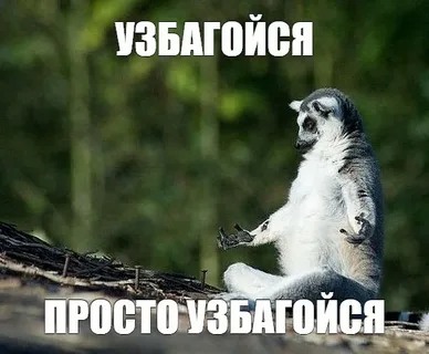 Не понимаю.
